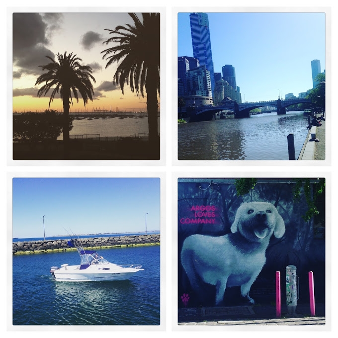 1481706941_tmp_instagram_