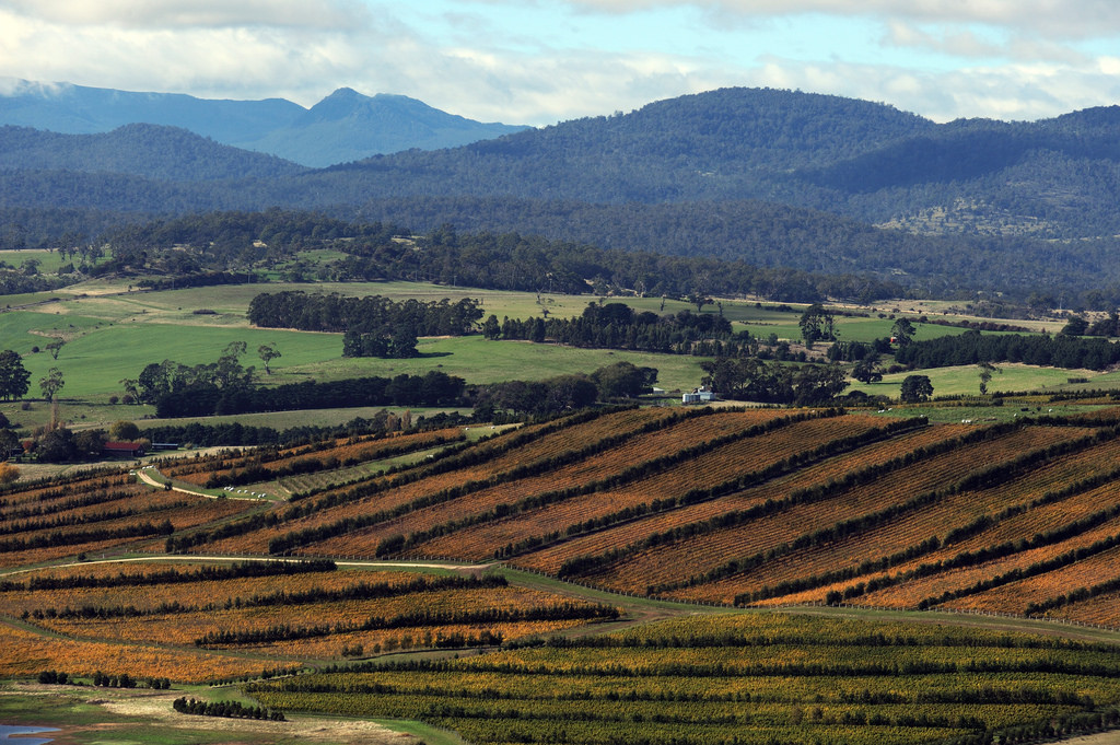 tamar valley