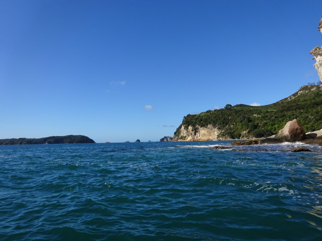 DSC00710