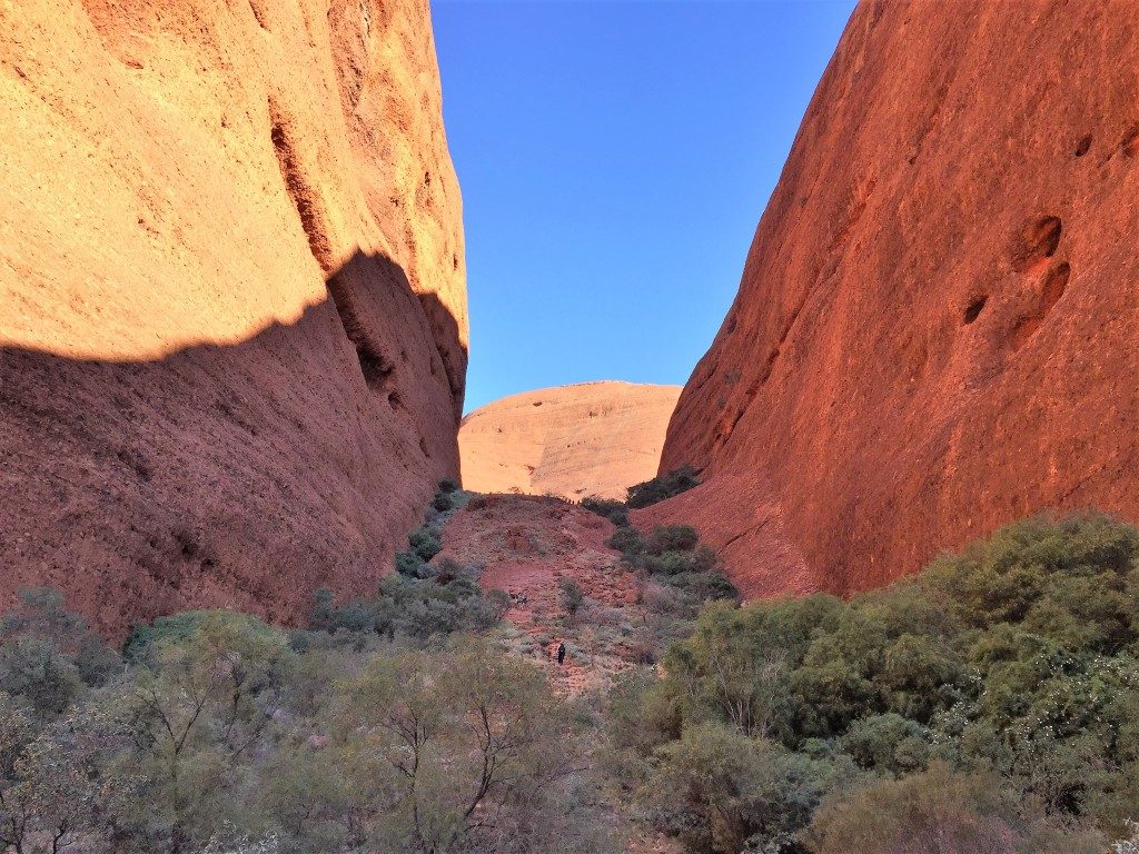 ULURU
