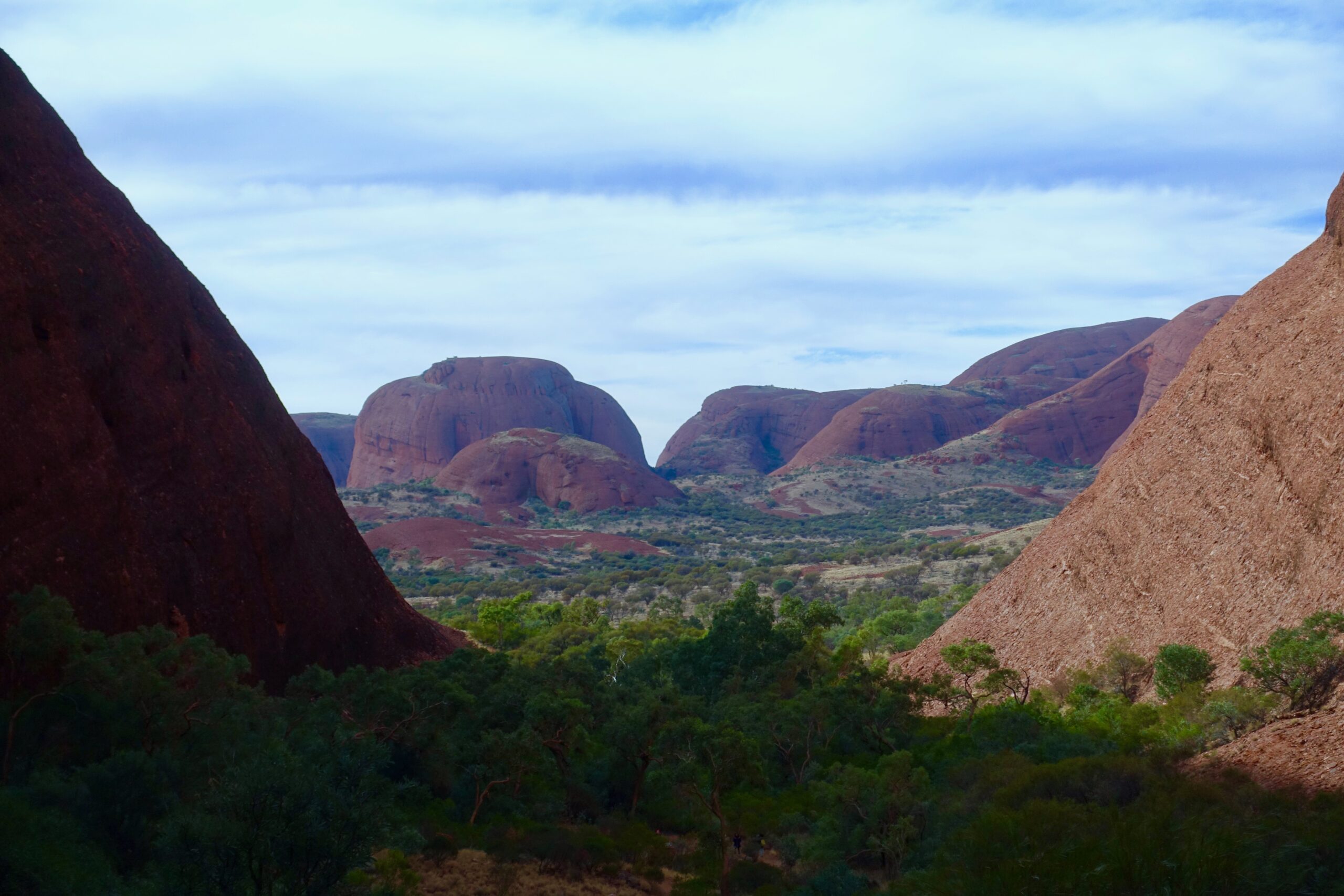 outback