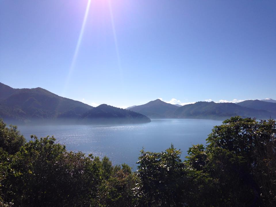 Picton view