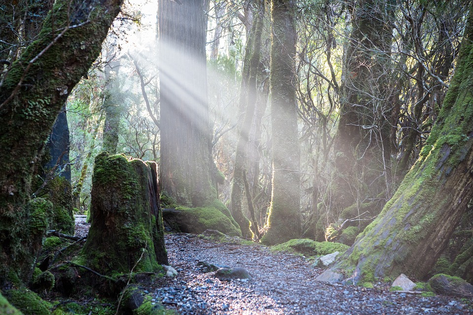 tasmania