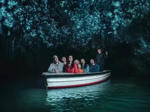 Waitomo Glowworm Caves