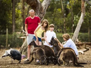 Yanchep National Park & Surrounds