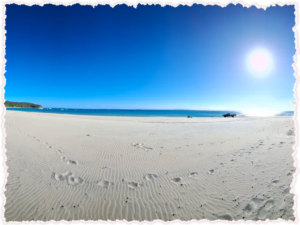 Explore the Great Keppel Island Beaches