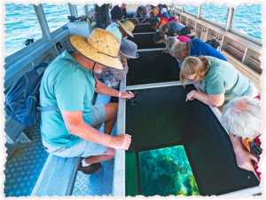 Glass-Bottom Boat Reef Tours at Great Keppel Island 