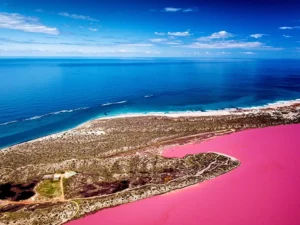Pink Lake (Hutt Lagoon)