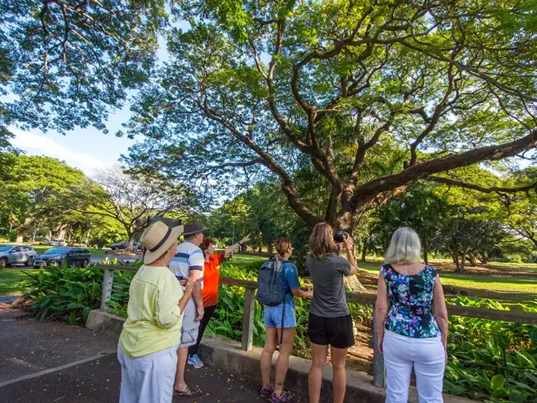 Botanic Gardens Darwin