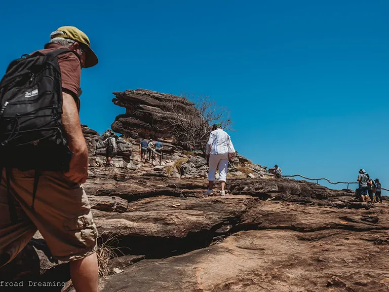 Bush Walking & Hiking Trails