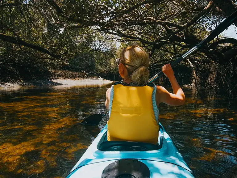Kayak Tours