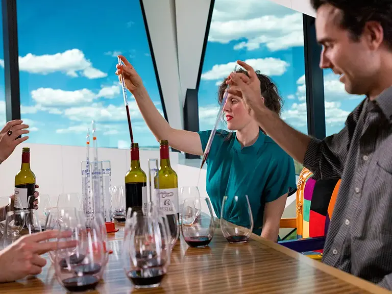 McLaren Vale Wine Tours