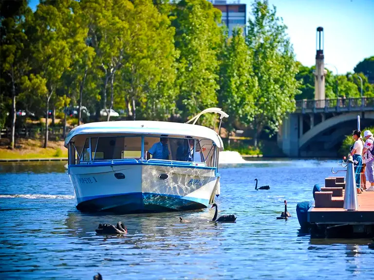 River Torrens Sightseeing Cruise