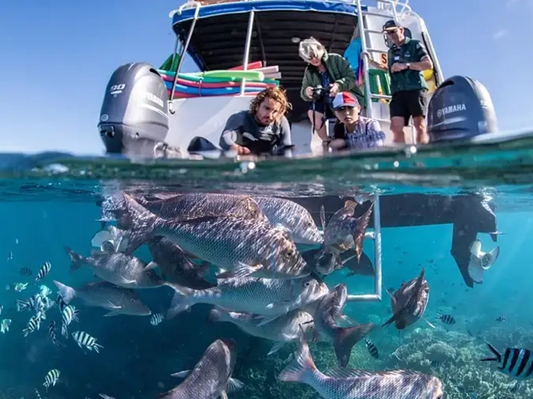 Coral Bay Glass Bottom Boat Tour