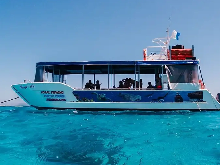 Ningaloo Turtle Encounter (Glass Bottom Boat)
