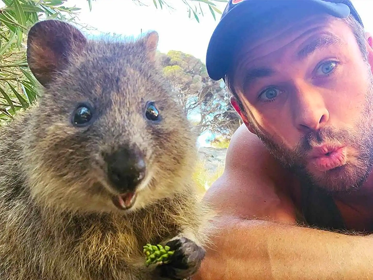 Rottnest Island Wildlife & Activities