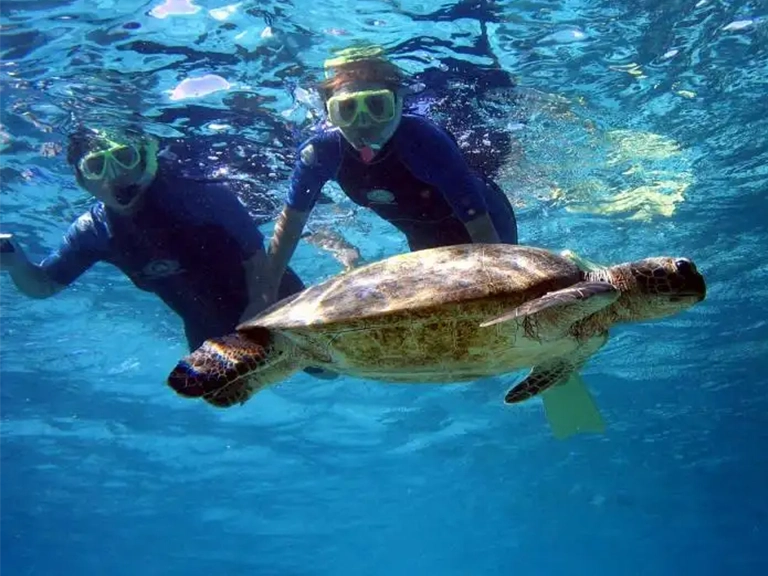 Snorkelling at Ningaloo Reef