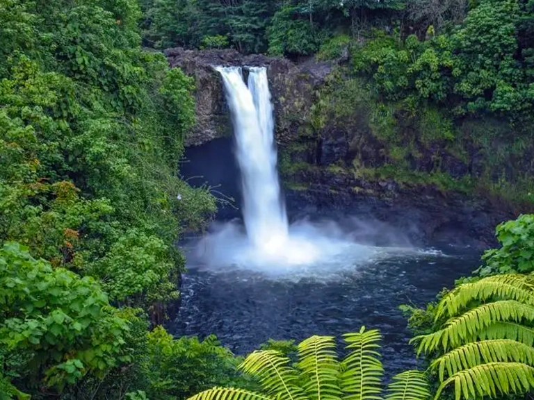 Big Island Big Day Out