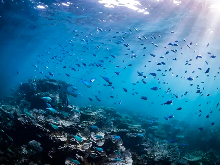 Calm Waters and Clear Visibility