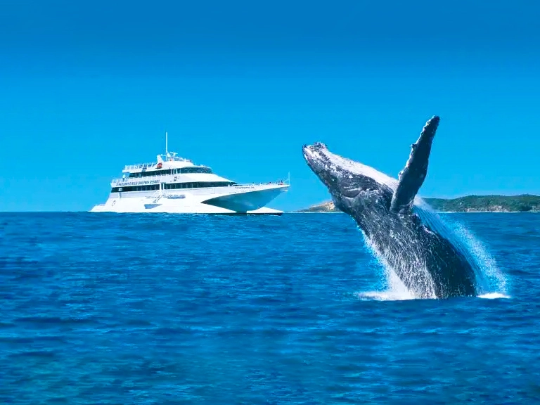 Lighthouse in Queensland