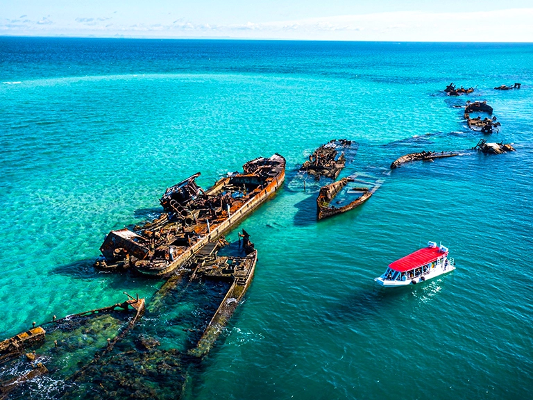 Tangalooma Wrecks Snorkelling
