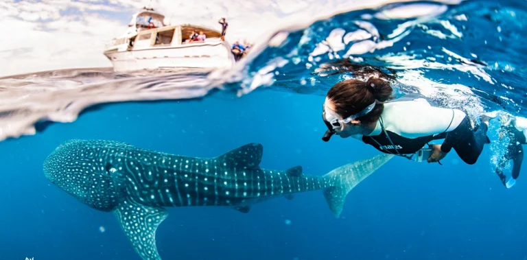 Best Month to Visit Ningaloo Reef