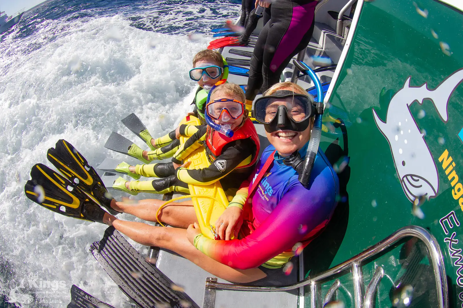 whale shark snorkelling tours