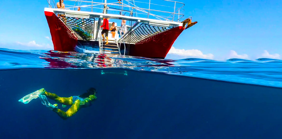 Best Time for Snorkelling on the Big Island, Hawaii
