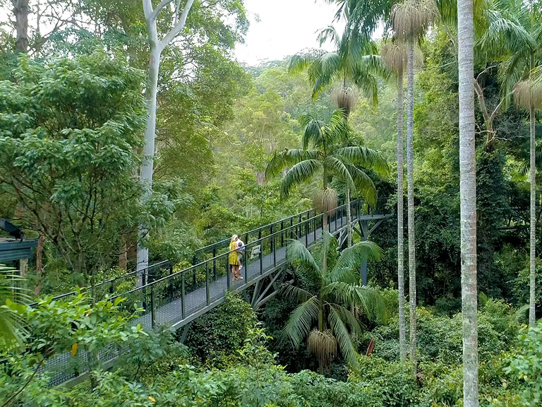 Explore the Gold Coast Hinterland