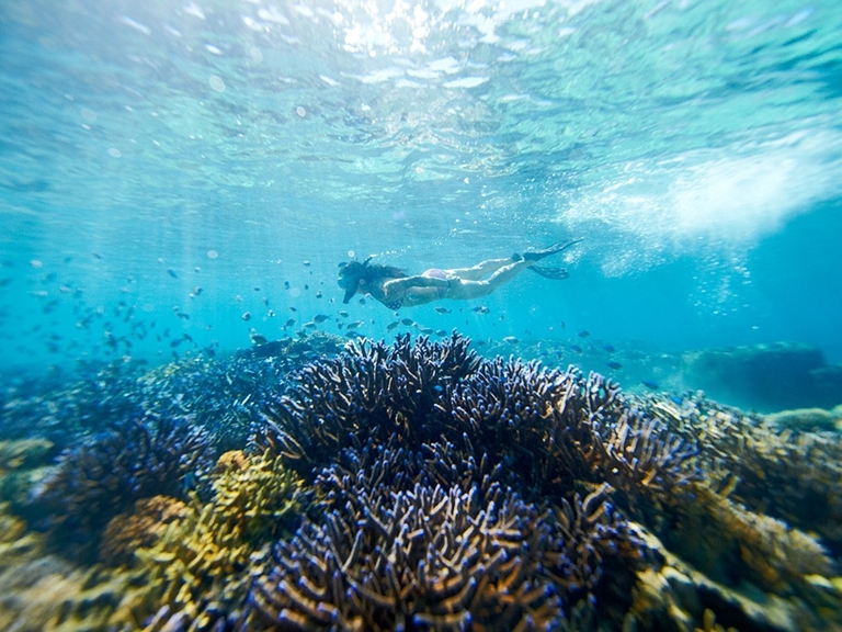 Yasawa Adventures Fiji