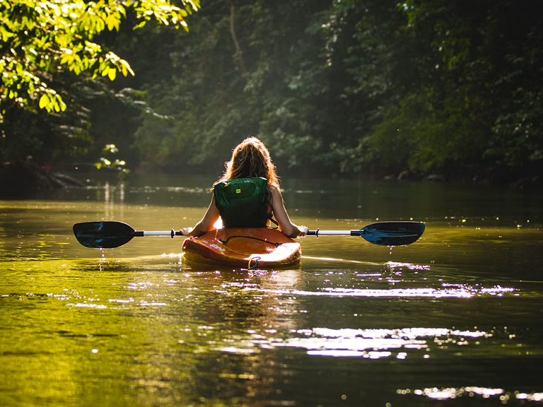 Kayaking in Lane Cove River