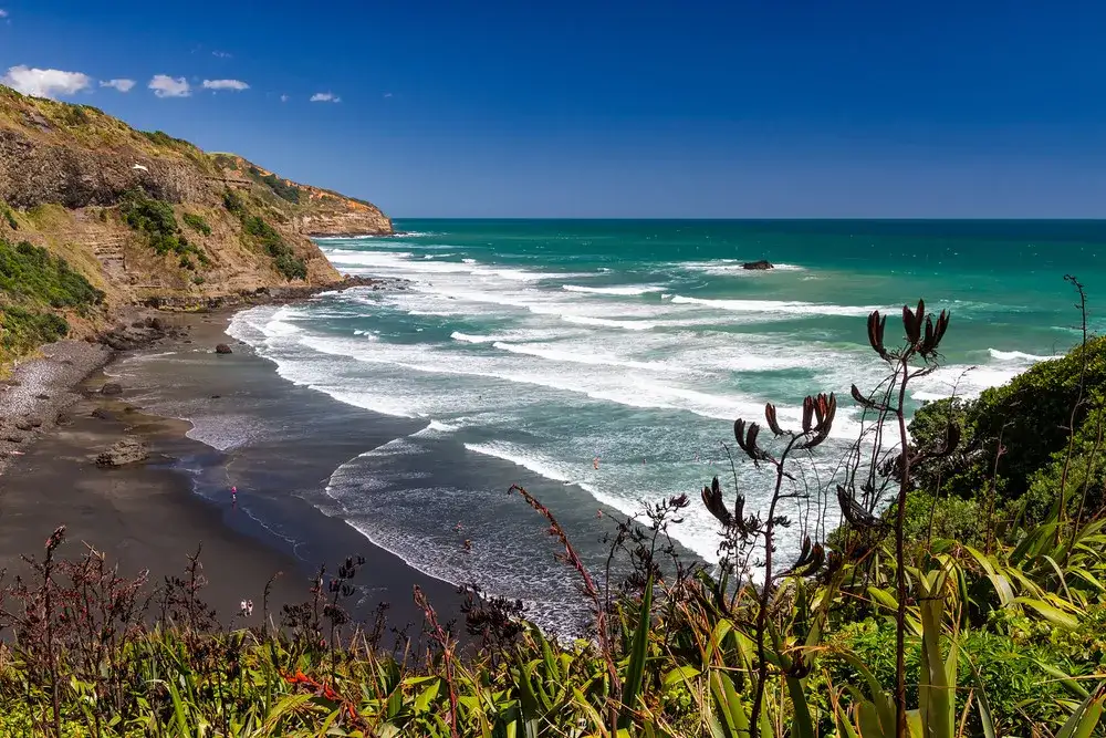 Muriwai Beach & Gannet Eco Tour | Private Tour