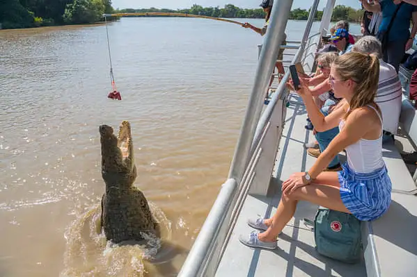 Spectacular Jumping Crocodile Cruise