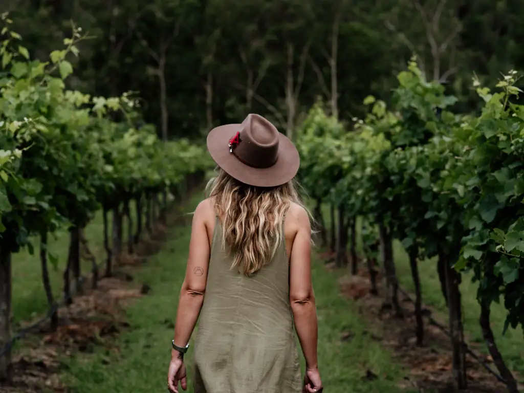 Mt Tamborine Rainforest Skywalk + Hop on Hop Off Pass from Gold Coast