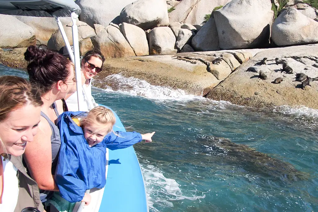 Eco-Certified Sea Wirrina Scenic Cruise