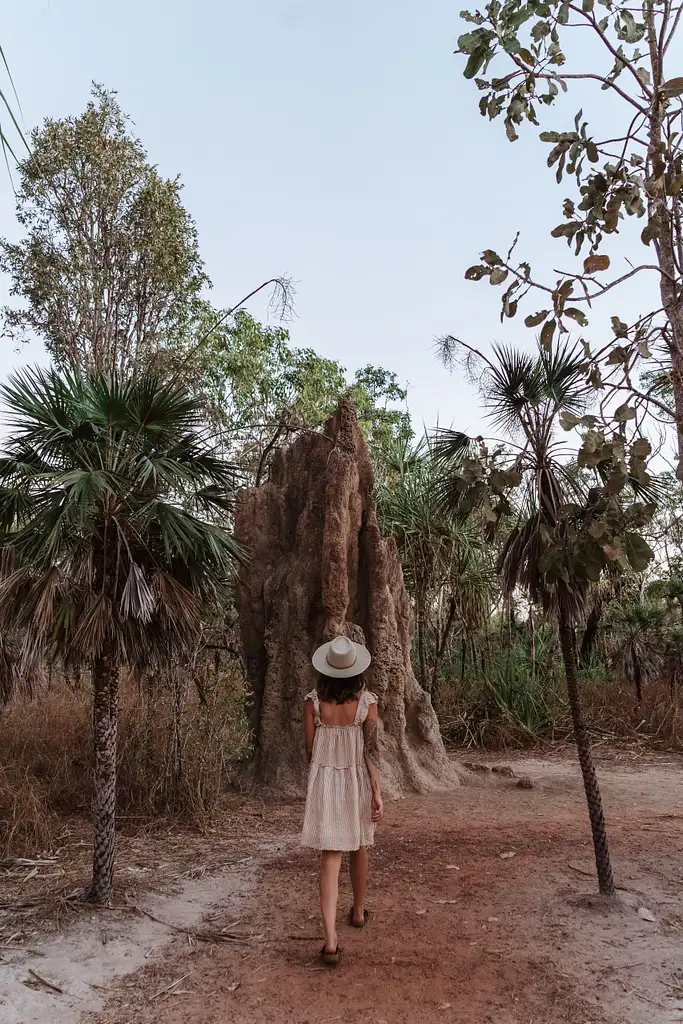 Kakadu National Park & Yellow River Wildlife Cruise