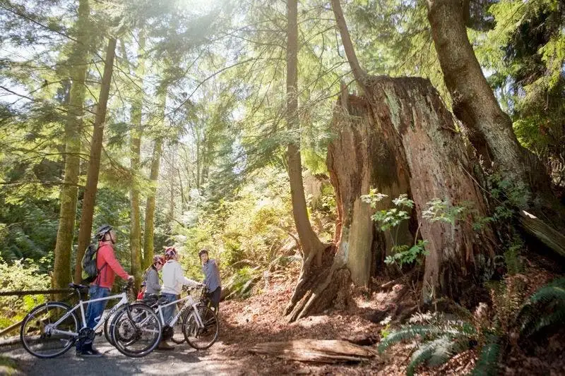Vancouver Stanley Park Cycling Tour