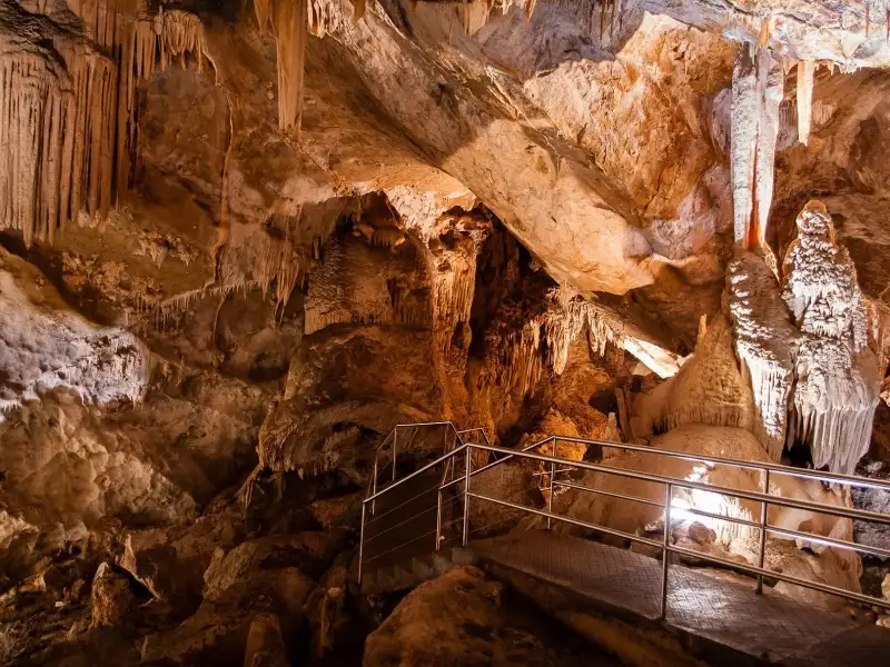 1D Blue Mountains & Jenolan Caves Tour