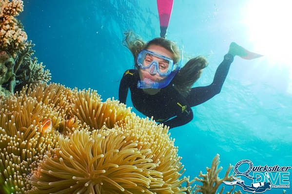 SCUBA Diving Great Barrier Reef