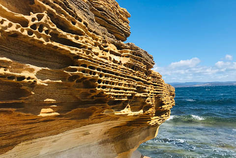 5 Day East Coast Tasmania Walk Deals