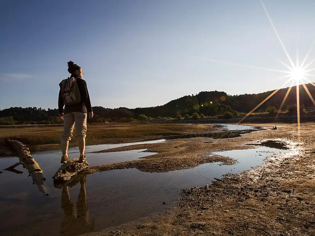 16 Day NZ South Island Encompassed: Wellington to Wellington | G Adventures 18 to 30somethings