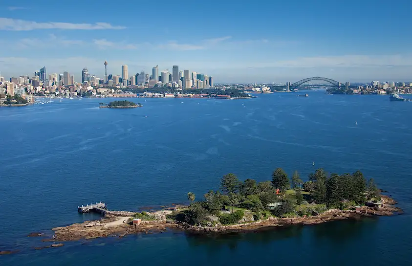 Sydney Fish Market Tour & Harbor Cruise - Half Day