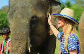 One Day Volunteer Program at Phuket Elephant Sanctuary
