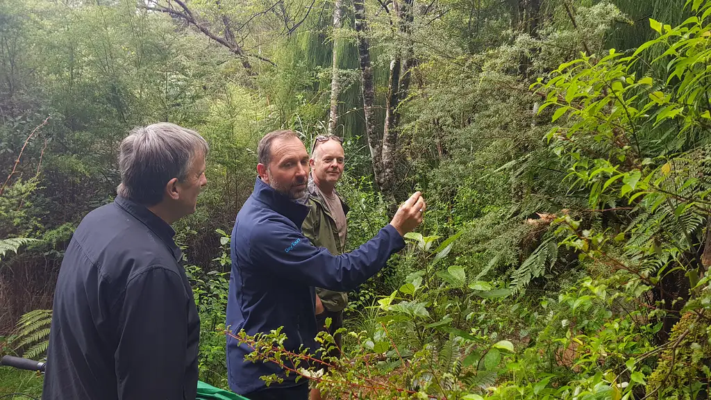 Wilderness Experience Nature Tour