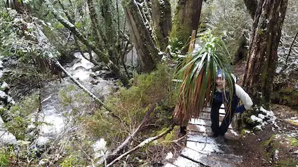 Land of the Giants Wilderness Tour