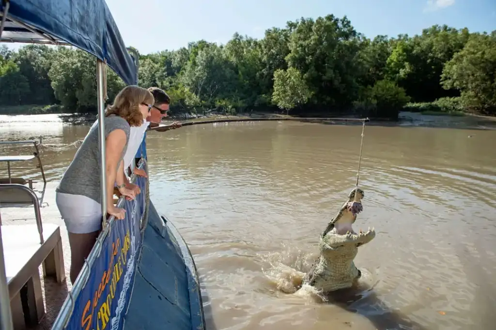 Jumping Crocodile Tour | From Darwin (BDTNT20DAY)