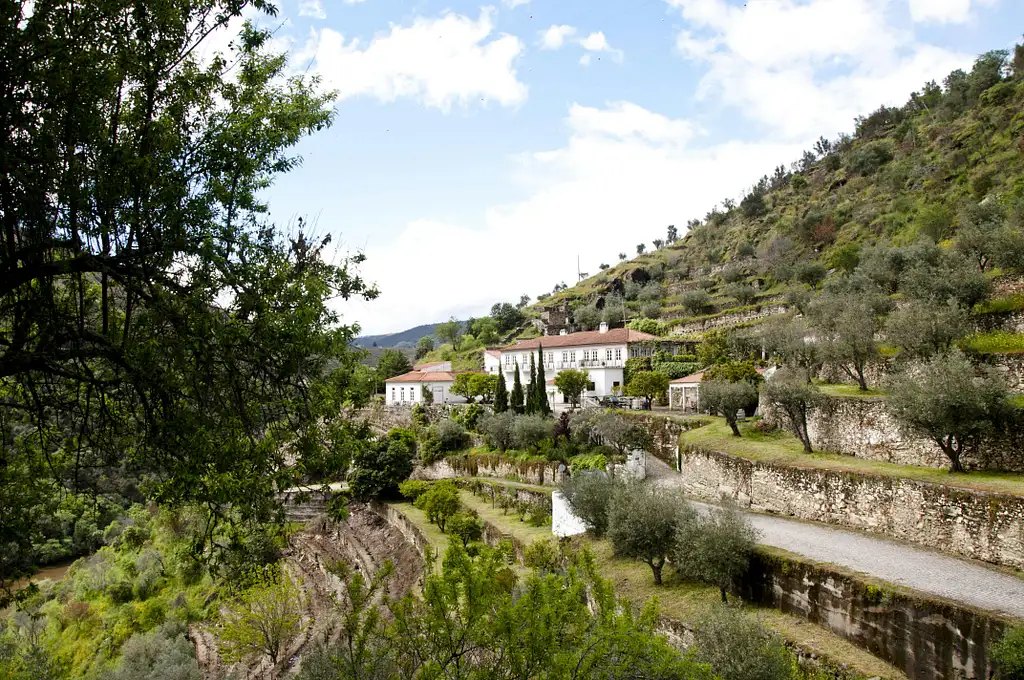 Douro Valley Tour | Wine tasting, Lunch and River Cruise