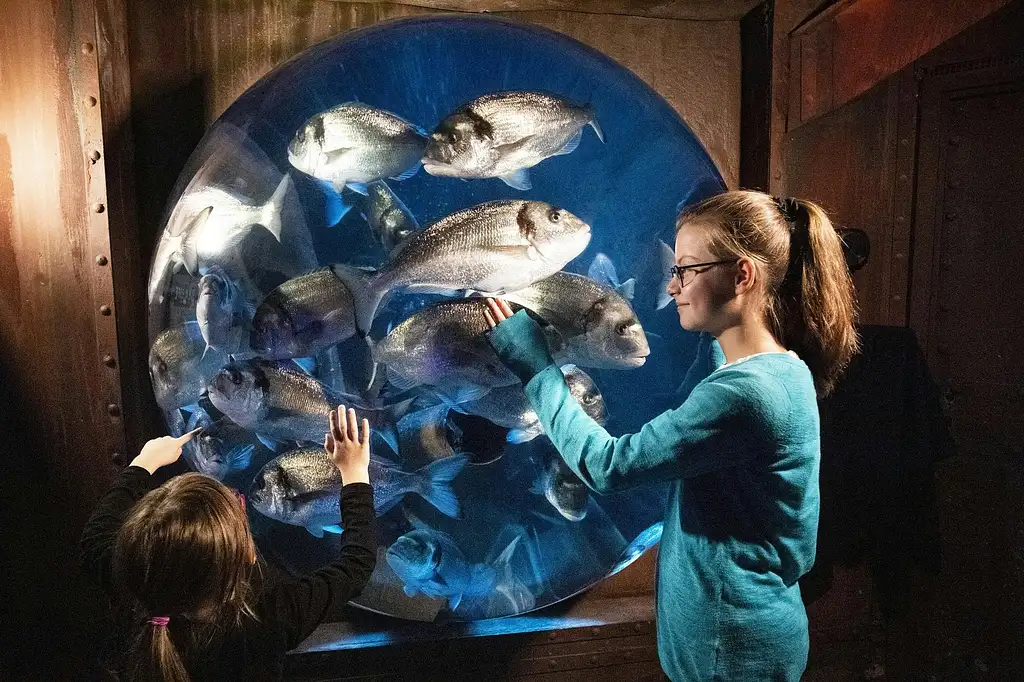 Madame Tussauds and Sea Life Berlin | Combo Ticket