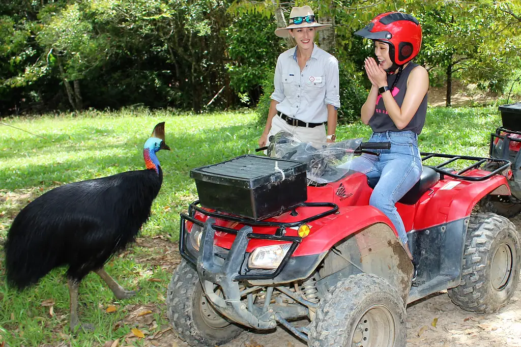 Rainforest ATV Tour