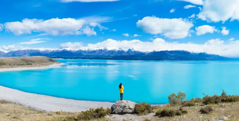 20 Day Tui Tour | Auckland to Christchurch | Stray